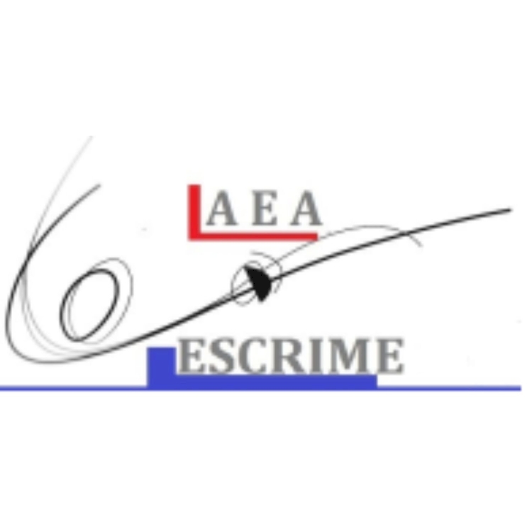 ASSOCIATION D'ESCRIME AVIGNONNAISE ASSOCIATION D'ESCRIME AVIGNONNAISE